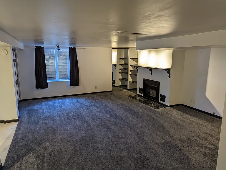 Bonus Room (Basement)