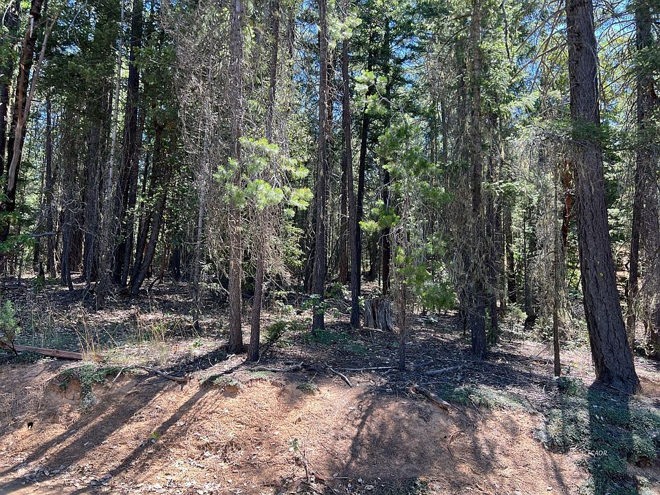 1st image of 1311 Pine Forest Dr