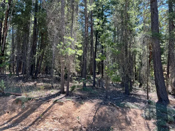 1311 Pine Forest Dr, Hayfork, CA 96041