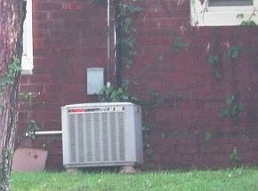 5th image of 339 Sewanee Ave