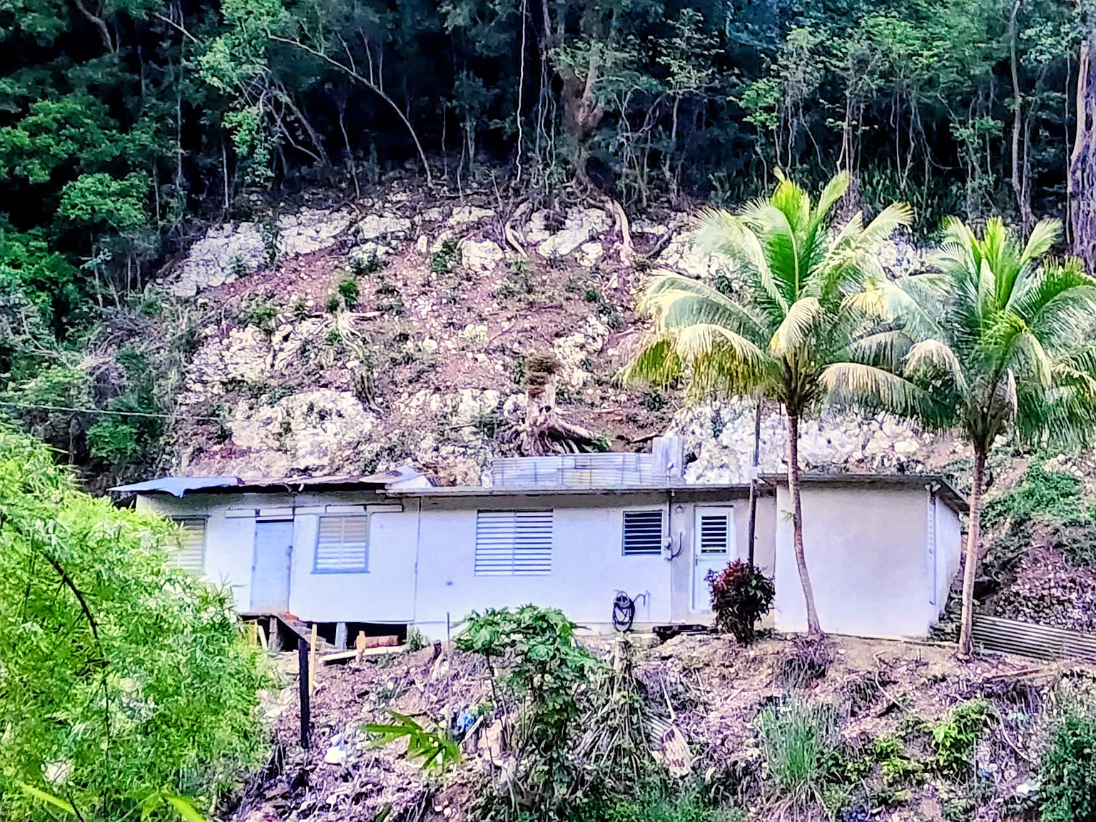 Avenue Juan Rosado, Arecibo — Photo 3