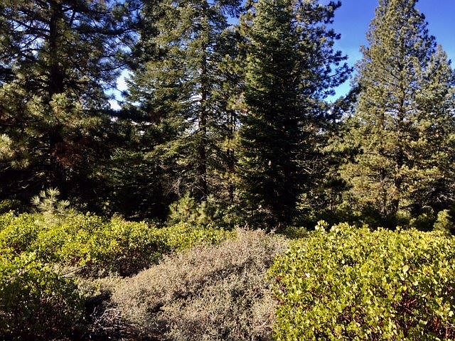 2nd image of 568 Bailey Creek Rd #1