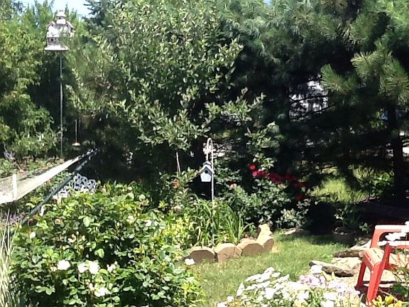 3rd image of 3405 Oakdale Ave