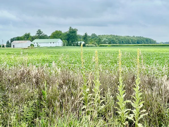 10800 South Rd, Waldron, MI 49288