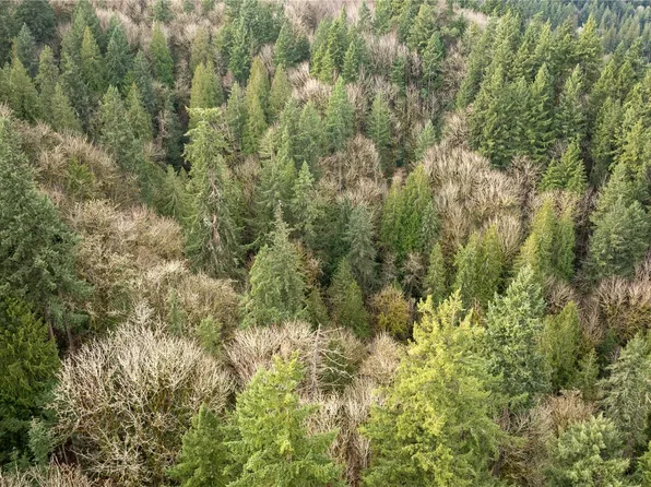 190 XX SE 66th Street, Issaquah, WA 98027