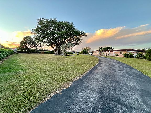 Front yard and driveway.