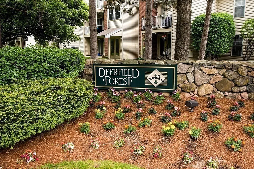 1 bed, 1.0 bath, 683 sqft, $2,100 — Photo 1