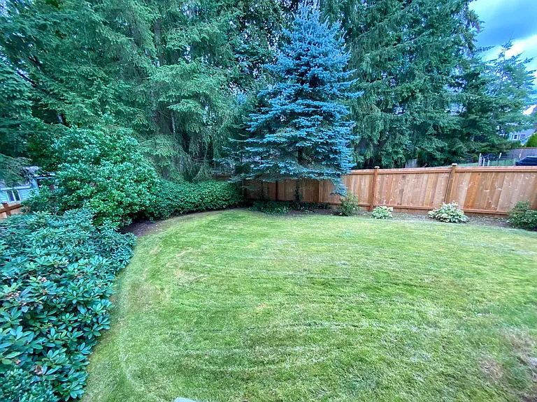 4113 238th Ct SE — Photo 35