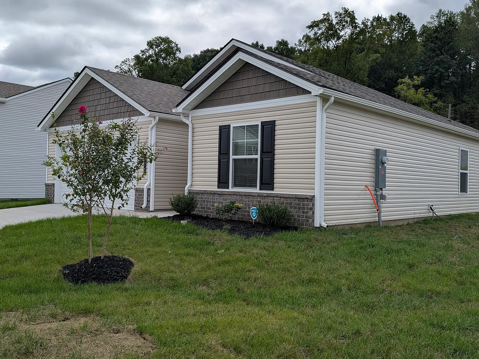 3 bed, 1343 sqft, $2,100 — Photo 3