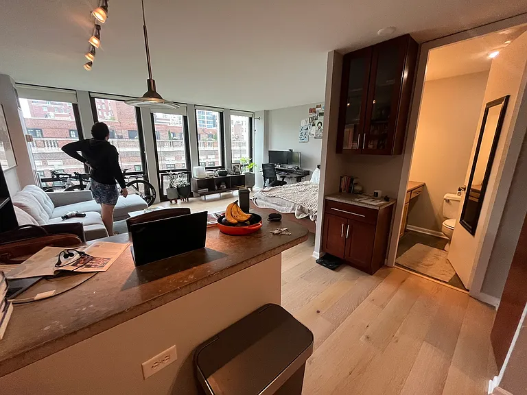 1 E Scott St #1012 — Photo 4