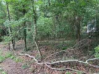 5th image of 3736 Overlook Dr