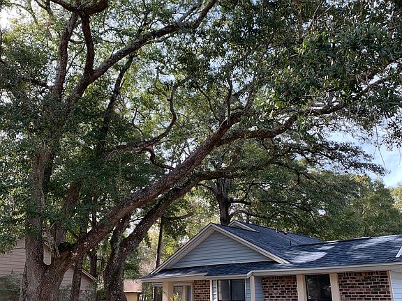 Beautiful oaks and shade