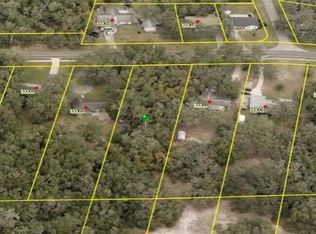 Ridge Manor Blvd #100C, Dade City, FL 33523