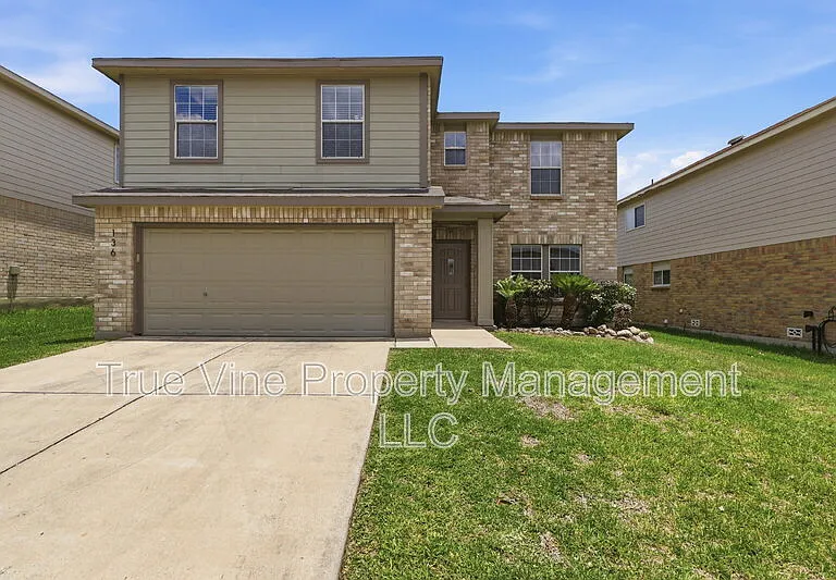 136 Texas Mulberry — Photo 2
