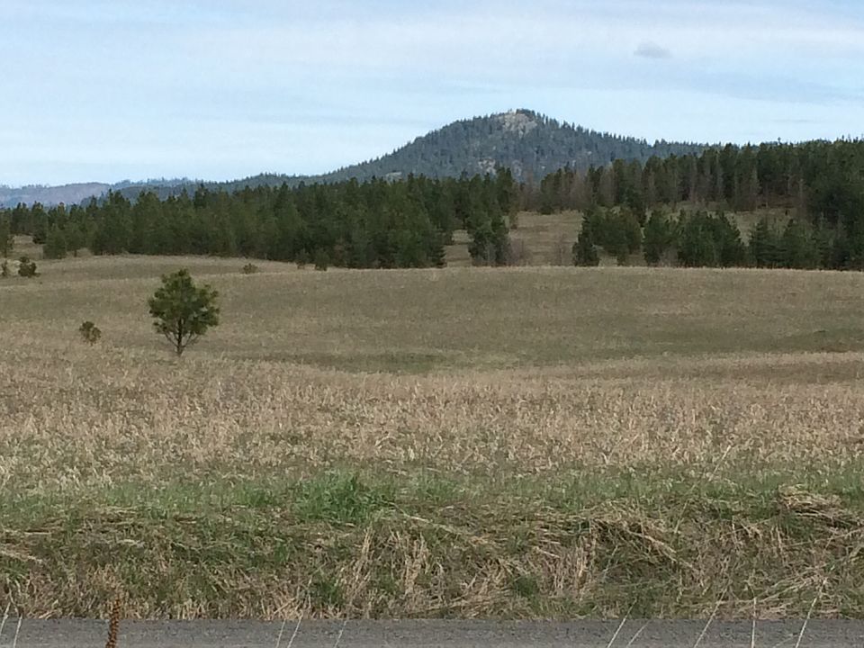 2nd image of East Rd