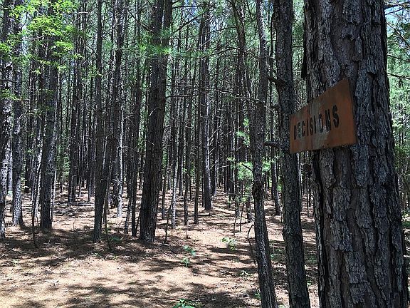 Level to gentle slope.