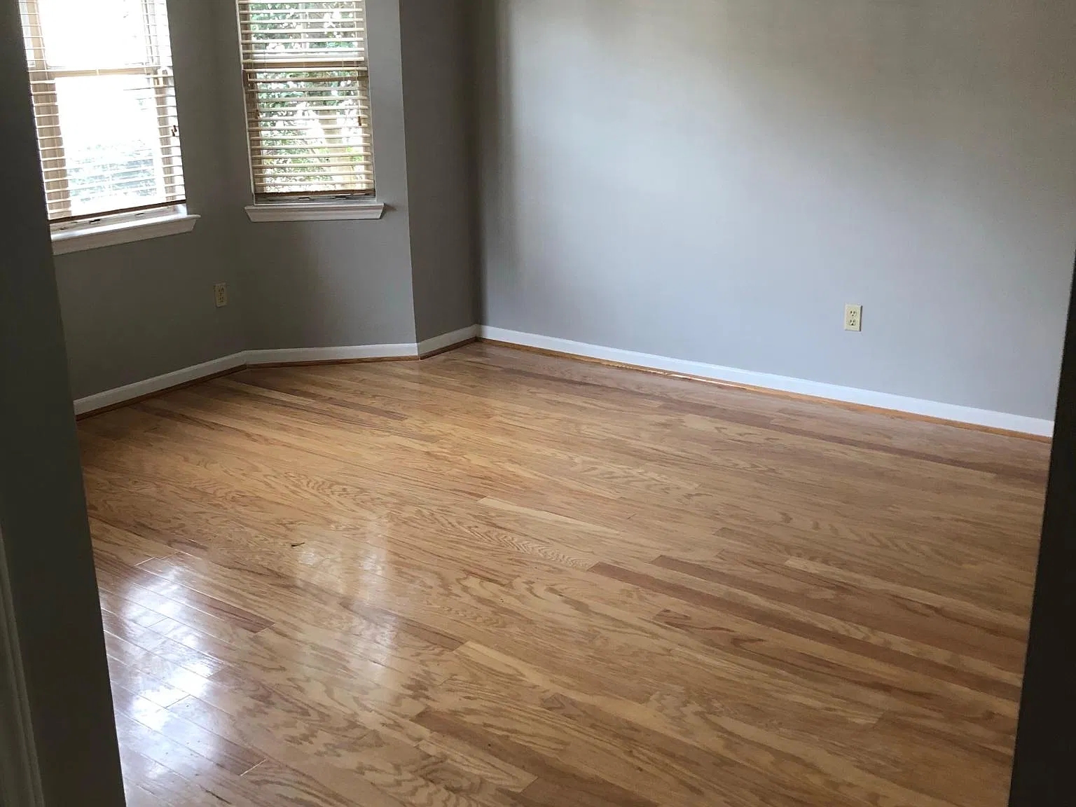 501 Olmsted Park Pl — Photo 1