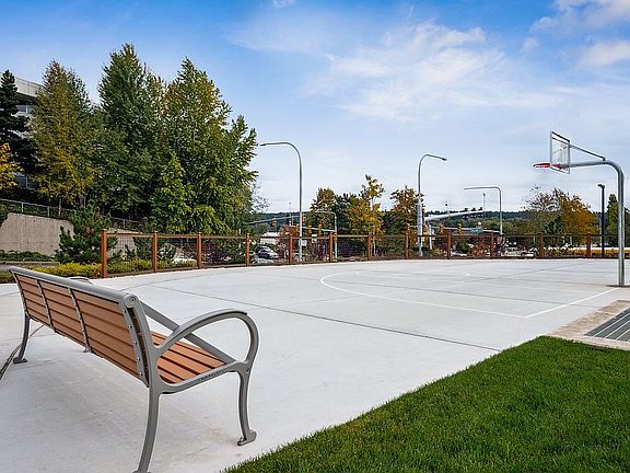 Basketball Court