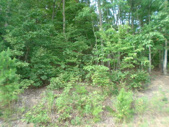 Timber Ridge Rd, Sharps Chapel, TN 37866