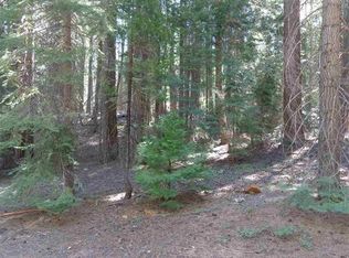 429 Big Meadows Rd, Canyon Dam, CA 95923