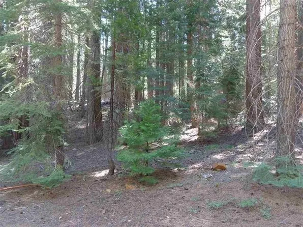 429 Big Meadows Rd, Canyon Dam, CA 95923