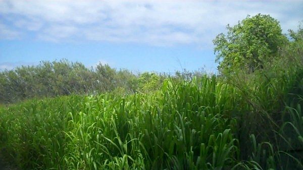 1st image of LOT 28 Waikaumalo Maulua Lot 28