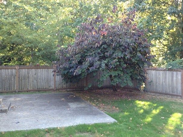 2nd image of 14016 80th Avenue Ct E