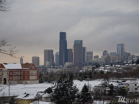 Winter view without tree leaves