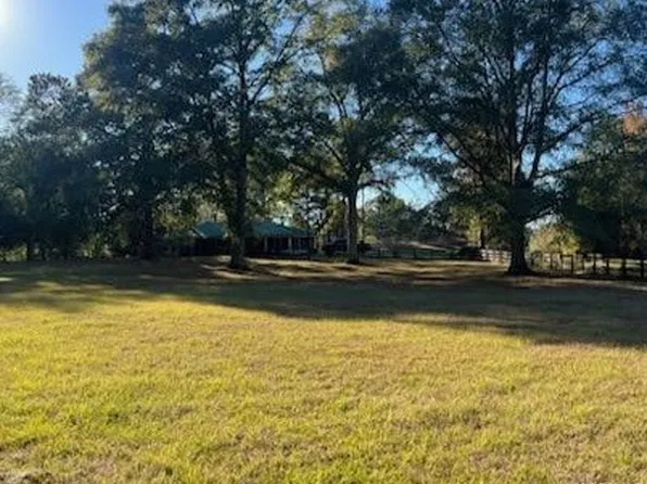 11405 Meriwether Trl, Grady, AL 36036