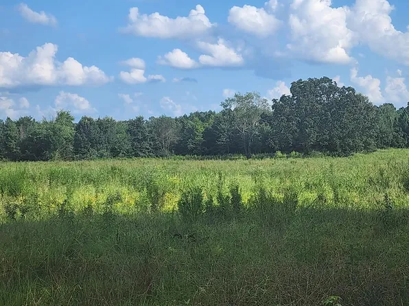 0 Mount Zion Rd, Big Sandy, TN 38221