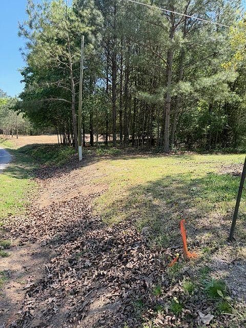 2nd image of 84 Popham Rd Tract 3