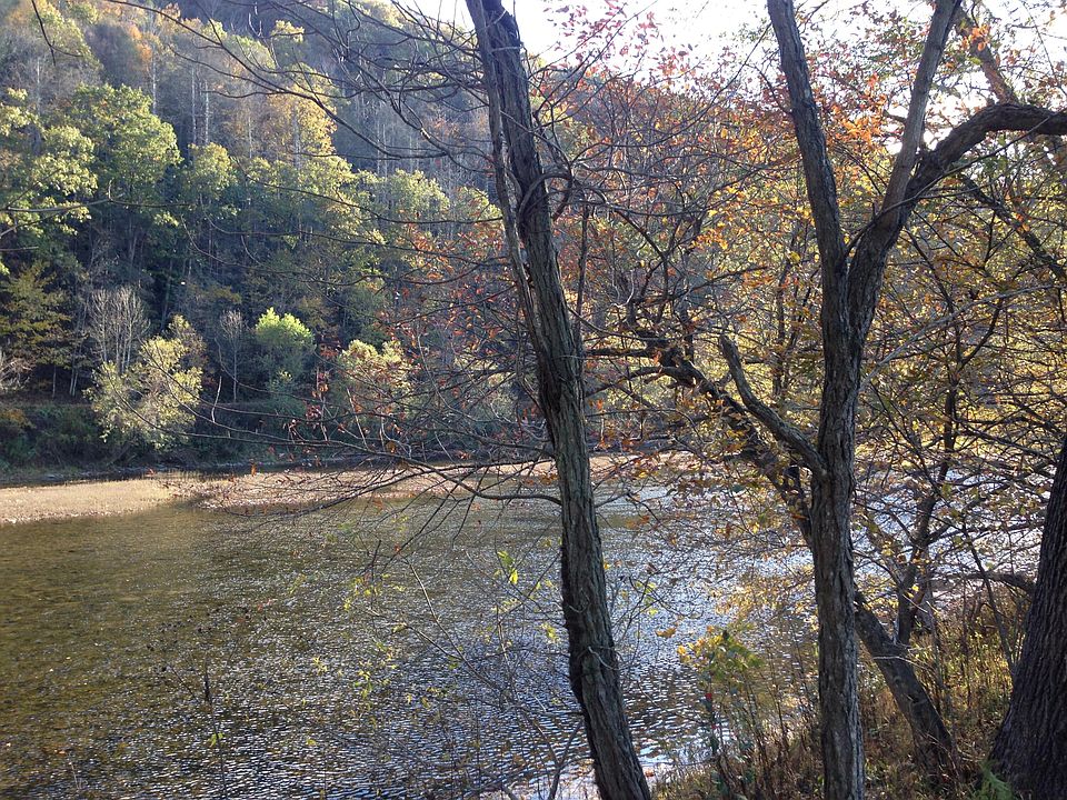 1114 Duncan Rd, Buckeye, WV 24924 Zillow