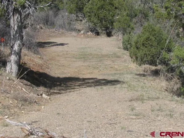 135 Summit Drive, Arboles, CO 81121