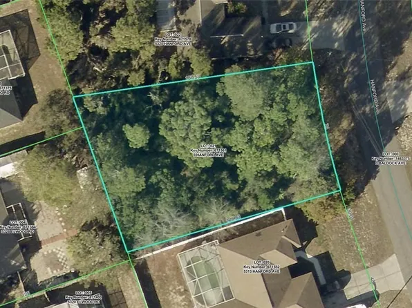 5319 Hanford Ave, Spring Hill, FL 34608