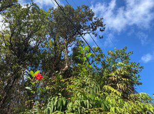 Hibiscus St, Mountain View, HI 96771