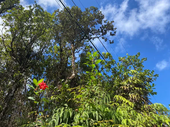Hibiscus St Lot 7603, Mountain View, HI 96771