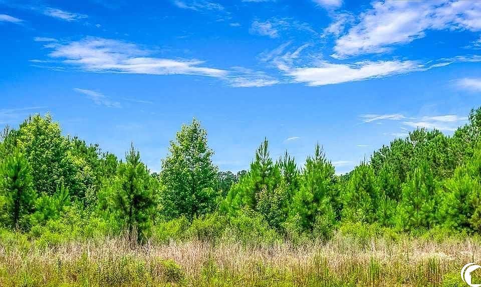 2nd image of tbd Jasmine Rd.