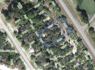 1051 County Road 29, Lake Placid, FL 33852