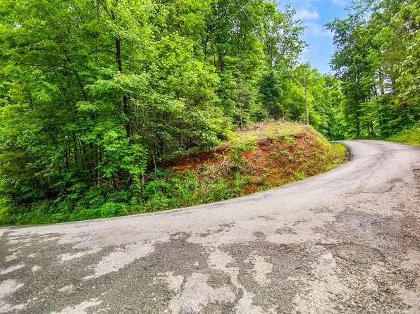 5.58 Gobbler Knob Dr, Ellijay, GA 30540