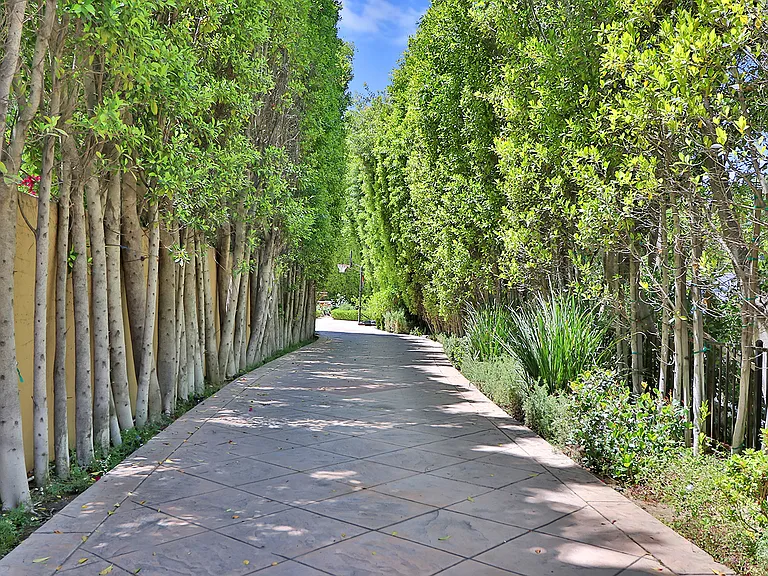 5427 Encino Ave — Photo 3
