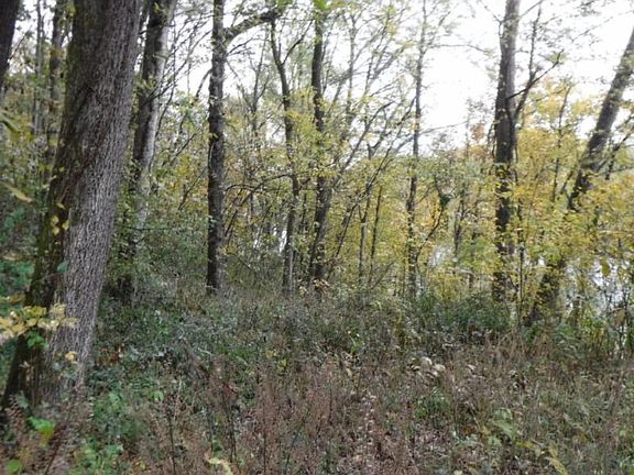 3rd image of 10.09 Ben Gentry Ln