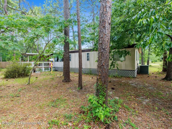 18024 Drayton St, Spring Hill, FL 34610