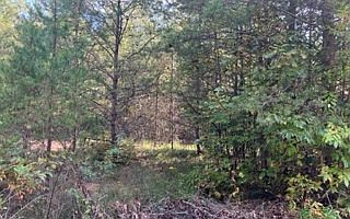 2nd image of Point Rd