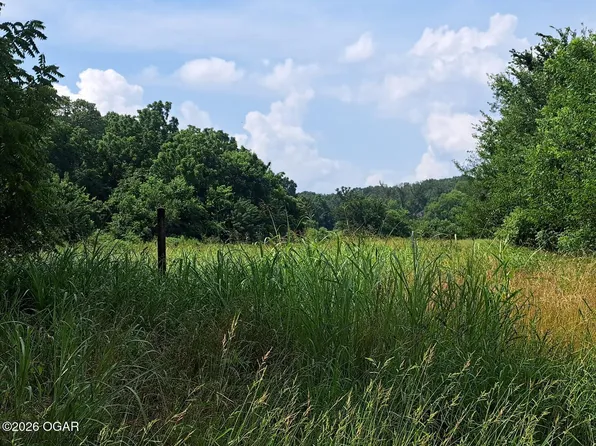 0 Little Mill Rd, Granby, MO 64844
