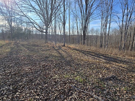 3rd image of 9510 Medlin Rd Lot 55