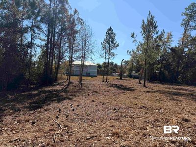 5308 Pine Rd, Orange Beach, AL, 36561