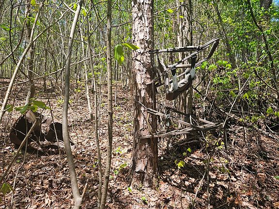 2nd image of 0 Maple Grove Church Rd