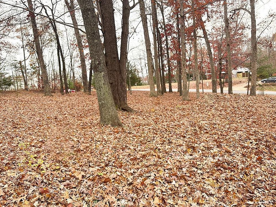 2nd image of 0 Ivy Woods Dr Lot 1