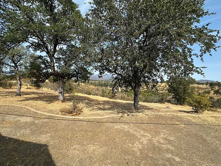 14124 Marsha Way — Photo 33