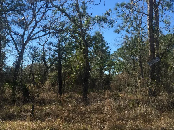 English Sparrow Rd, Weeki Wachee, FL 34614